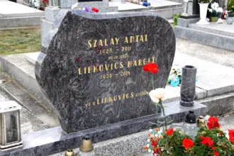 Master file0000063557