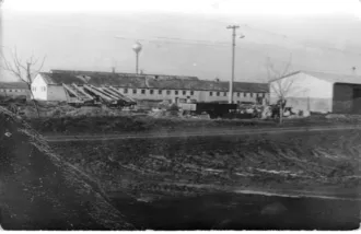 Master file0000081985