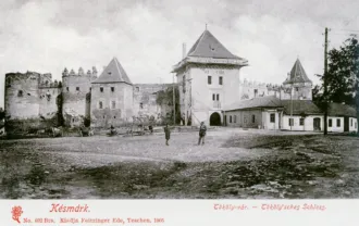 Master file0000055111