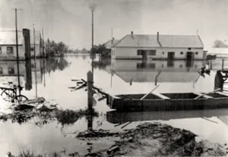 Master file0000054330