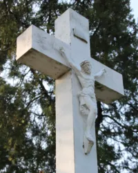 Master file0000070429