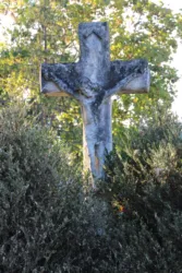 Master file0000071680