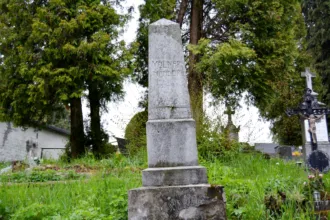 Master file0000059238