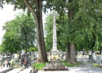 Master file0000058520