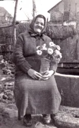 Master file0000055584