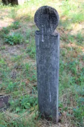 Master file0000063575