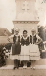 Master file0000054940