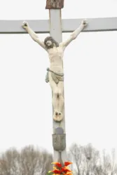 Master file0000060318