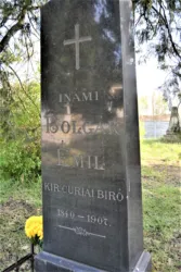 Master file0000058642