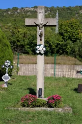 Master file0000069505