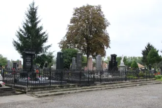 Master file0000063799