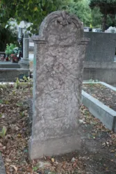 Master file0000059932