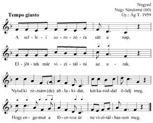 Master file0000050223