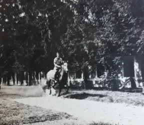 Master file0000080849