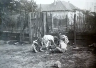 Master file0000055871