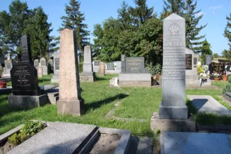 Master file0000065647