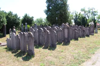 Master file0000072993