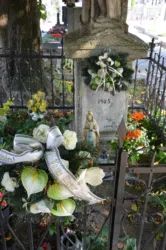 Master file0000063077