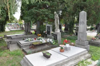 Master file0000063238