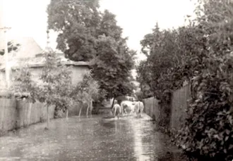 Master file0000056194