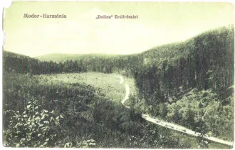 Master file0000054384