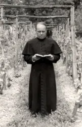 Master file0000054042