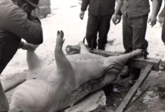 Master file0000053902