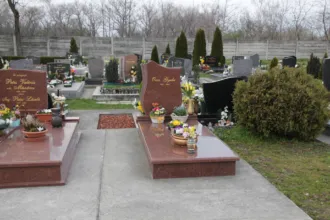 Master file0000064365