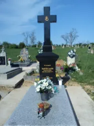 Master file0000066894