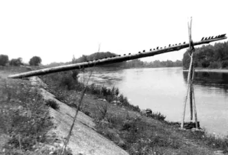 Master file0000056807