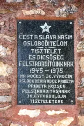 Master file0000069767