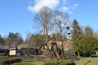 Master file0000058613