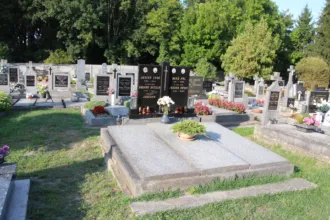 Master file0000062777