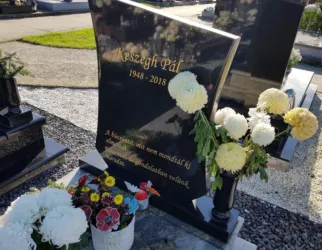 Master file0000061320