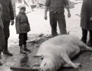 Master file0000055420