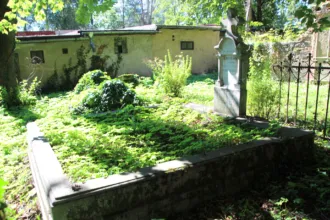 Master file0000065419