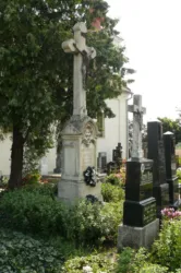 Master file0000062779