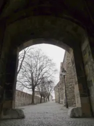 Master file0000058358