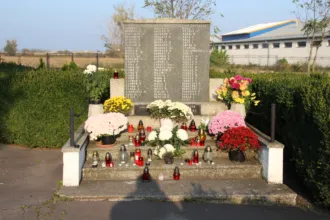 Master file0000069513