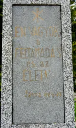 Master file0000059762