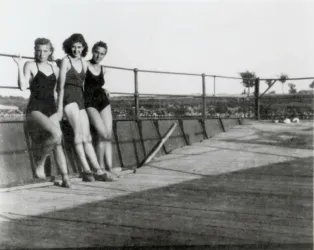 Master file0000054956