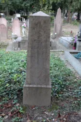 Master file0000061238