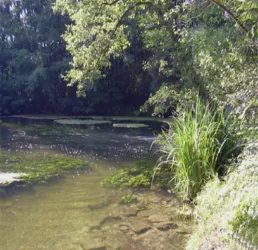 Master file0000039855