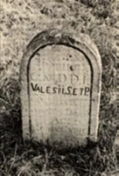 Master file0000049656