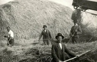 Master file0000056489