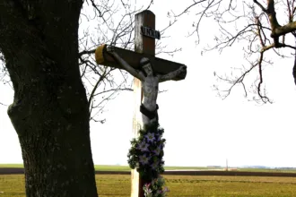 Master file0000058073