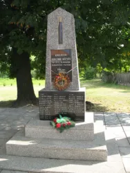 Master file0000071581