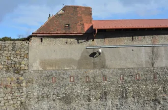 Master file0000058943