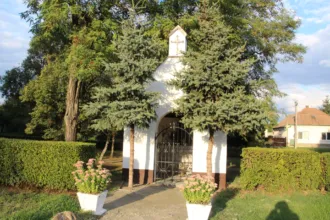 Master file0000060552