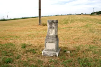 Master file0000069302